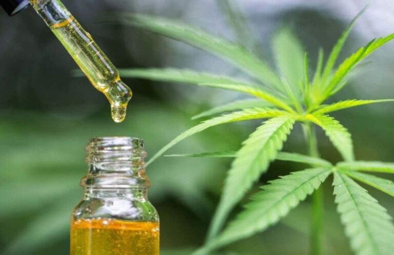 Comment consommer l’huile de CBD