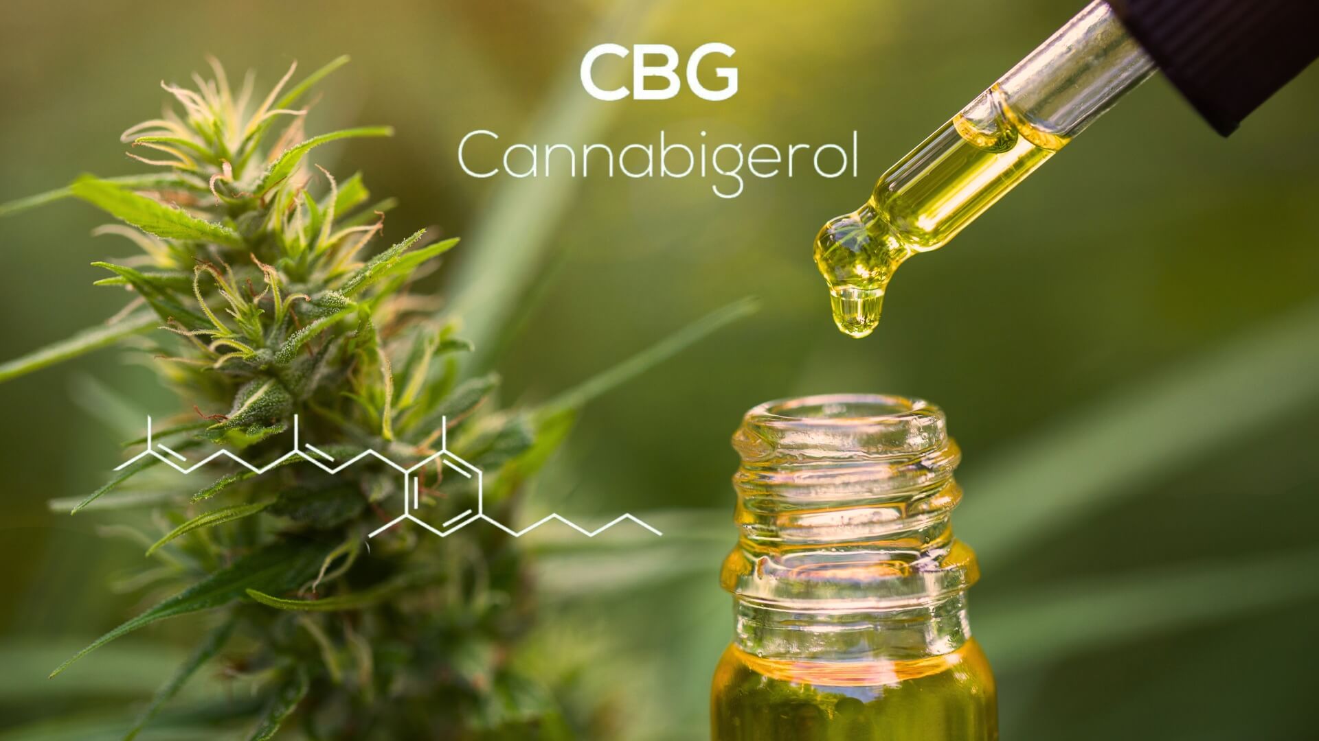 produits à base de Cannabigérol